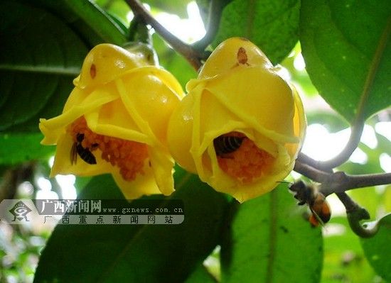 �衣�����н蹫��ͼ�� �衣�����н蹫��ͼ��
