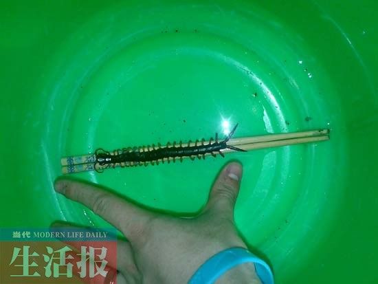 �����ҧ��с½�ĺ�������15���׳��� �����ҧ��с½�ĺ�������15���׳���
