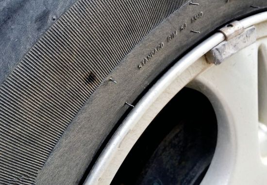 ��̥�������ա������ĺۼ����ϲ��籨���� ��ά �� ��̥�������ա������ĺۼ����ϲ��籨���� ��ά ��