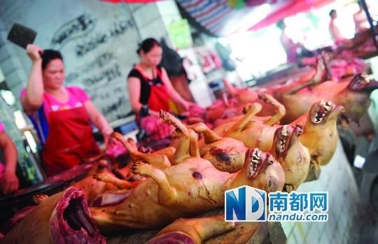 ǰ�����磬���������г�������ɱ���õĺ����ڷ���̨���ϳ��ۡ��϶����� ҷ־�� �� ǰ�����磬���������г�������ɱ���õĺ����ڷ���̨���ϳ��ۡ��϶����� ҷ־�� ��
