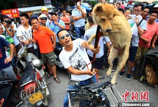 ͼϊ��ű����թ���ġ���������ƭ�� ͼϊ��ű����թ���ġ���������ƭ��