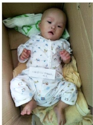 ��ӥ��ƭ��ͼƭ��դ��������� ��ӥ��ƭ��ͼƭ��դ���������
