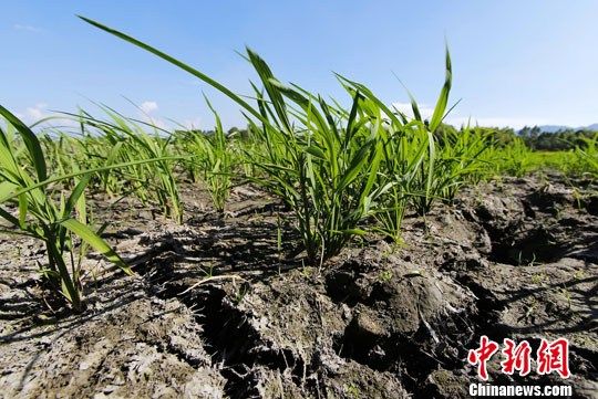 ͼϊȫ����������ͷ����ɺ��������ؼ����ȵ�����������緢 ��ٻ �� ͼϊȫ����������ͷ����ɺ��������ؼ����ȵ�����������緢 ��ٻ ��