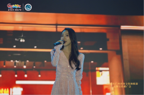 (夜间节目演艺)