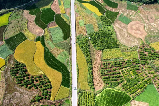 贺州市昭平县回龙至黄姚美丽旅游公路。 毛俊人 摄