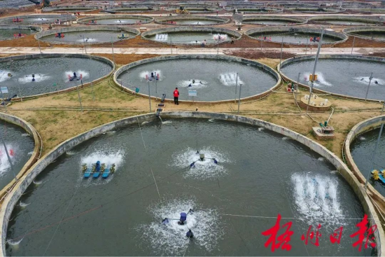 岑溪市归义镇荔枝村陆基圆池养殖基地(颜桂海/摄)